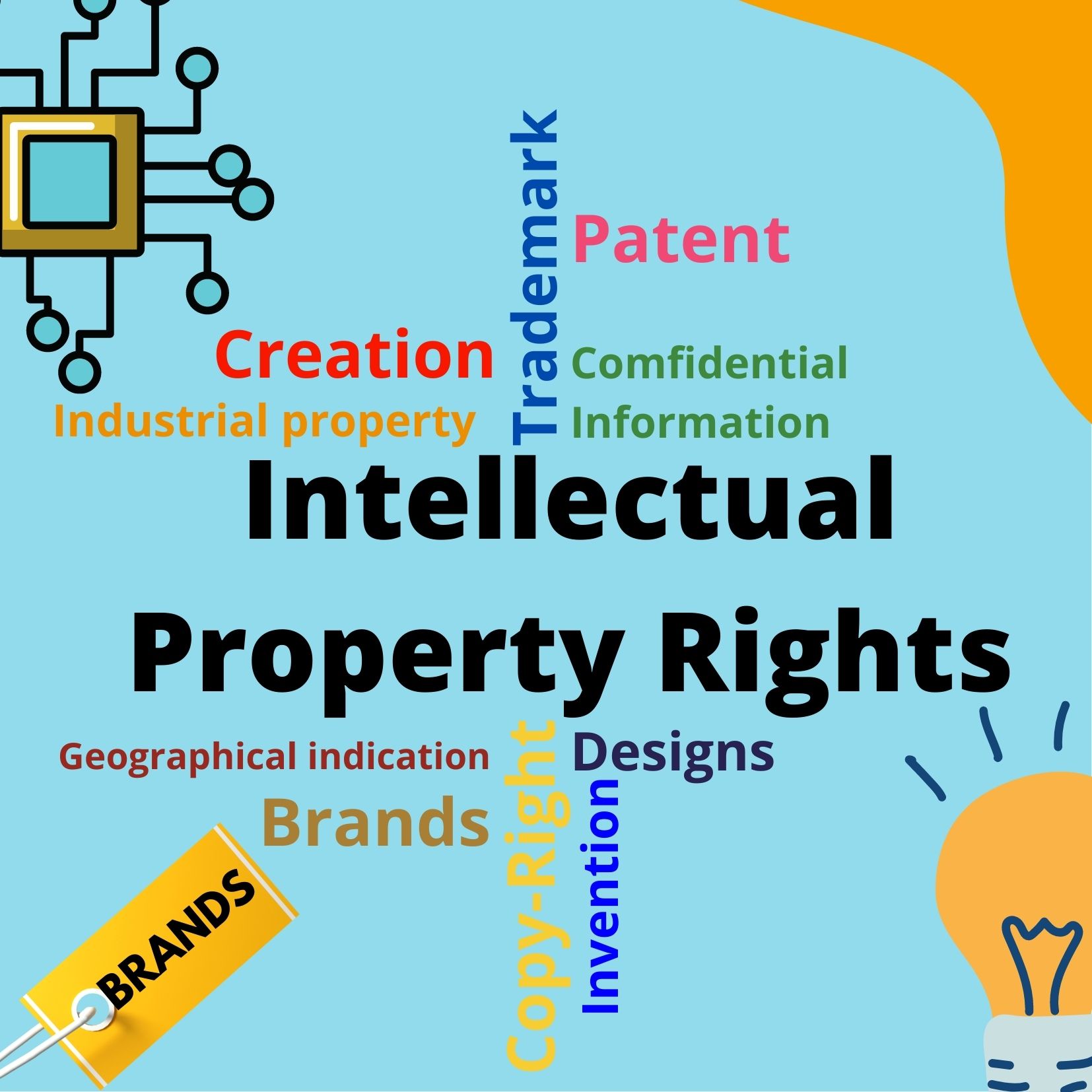 Intellectual Property Rights